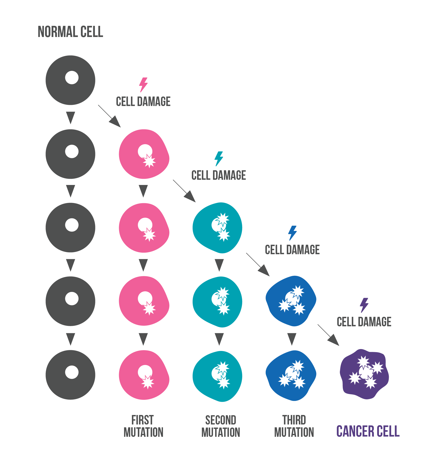 Image depicting how normal cells accumulate damage leading to cancer over time.