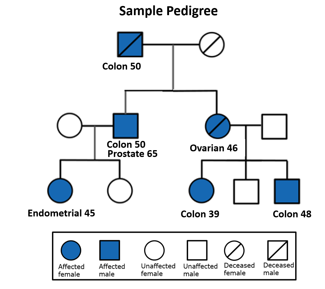 image with an example of a pedigree